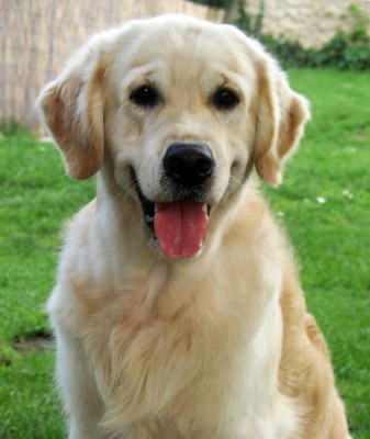 Winnie