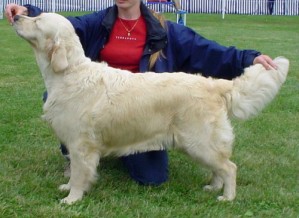 Delibes�s Golden Marian