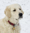 Bess 12 months