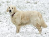 Bess 12 months