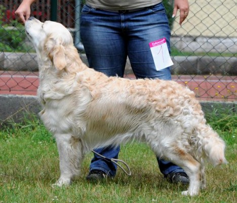 Rooney - 12 m�s�c�
