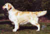 cheri-statique.jpg (56189 bytes)