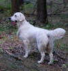 Wendy - 10 msc