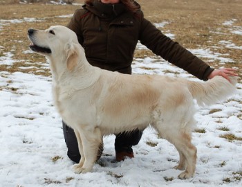 Kaylee - 2,5 roku