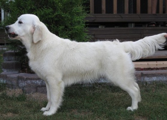 Cara - 7 months