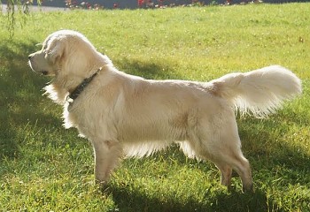Jura - 2 roky